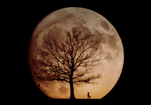 [تصویر: moonman_51.jpg]