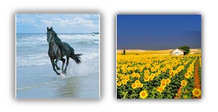 عکس های زیبا از طبیعت - www.picworld.ir