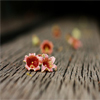 http://s2.picofile.com/file/7121005157/wWw_White_Sky_Blogfa_CoM_104_.jpg