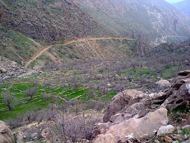 منظره ی جاده ی ییلاقی روستای ناو