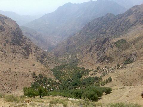 منظره ای دیگر از ییلاق (هوار)