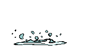 رايکا
