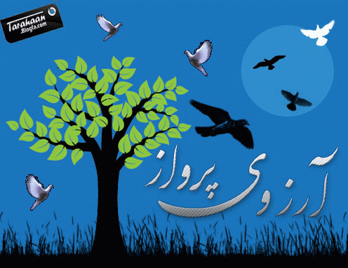 کارت پستال درخواستی طراحان