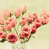آيکـُن هاي ِ دختره