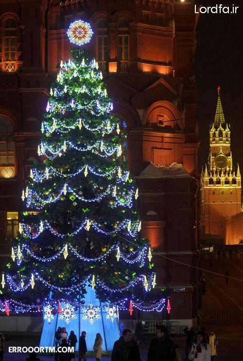 عکس از درخت های کریسمس زیبا