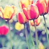 wWw_White_Sky_Blogfa_CoM_477_.jpg