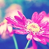 wWw_White_Sky_Blogfa_CoM_478_.jpg