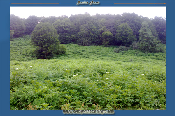 ییلاقات ماسال-صدای ماسال