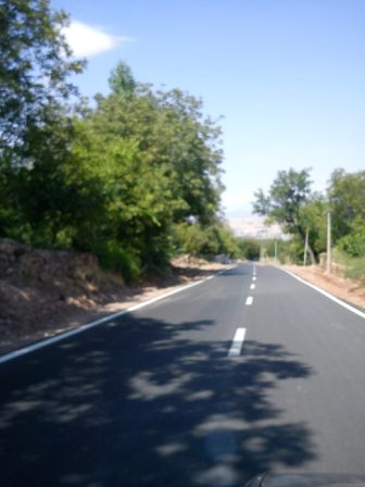 روستای زاویه و درختان پیر چنار 