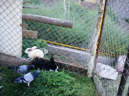 پارک کوهستانی ارس