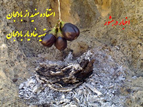 http://s2.picofile.com/file/7126899779/bademjan.jpg