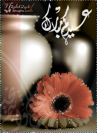 دختر شب مهتاب