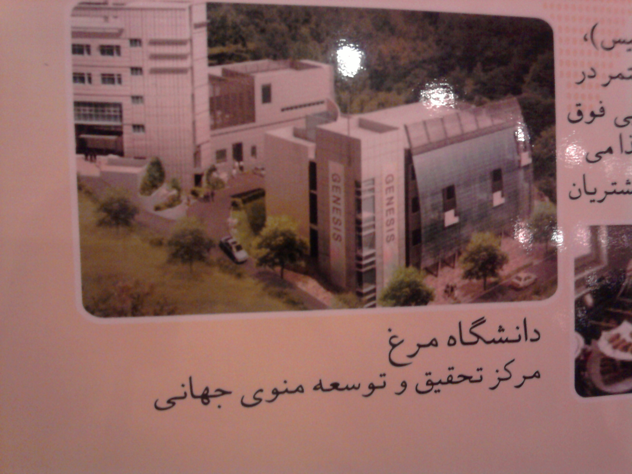 کاغذ کاهی/دانشگاه مرغ