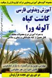 آموزش ویدئویی فارسی کشت و تکثیر گیاه هزاردرمان آلوئه ورا - دو دی وی دی هجده هزارتومان
