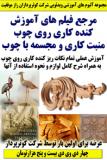 مرجع فیلم های آموزش کنده کاری روی چوب و منبت کاری و مجسمه با چوب کوثرپرداز ـ چهار دی وی دی بیست و پنج هزارتومان