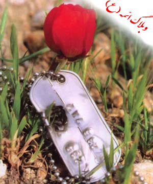 وببلاگ ائمه (ع)
