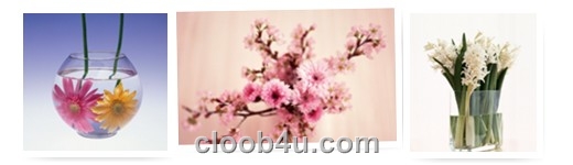 http://s2.picofile.com/file/7148575050/00pkq6zpnwu4j1qp0mw.jpg