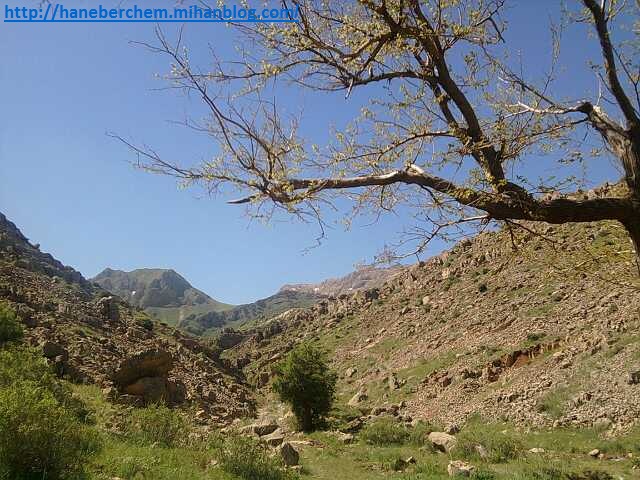 http://haneberchem.mihanblog.com/