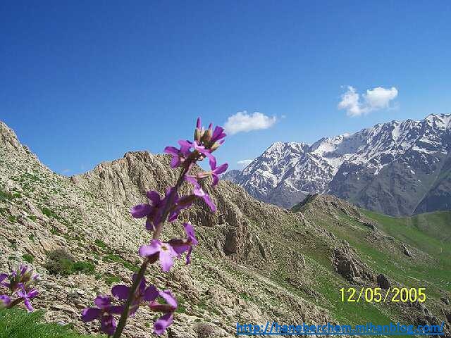 http://haneberchem.mihanblog.com/