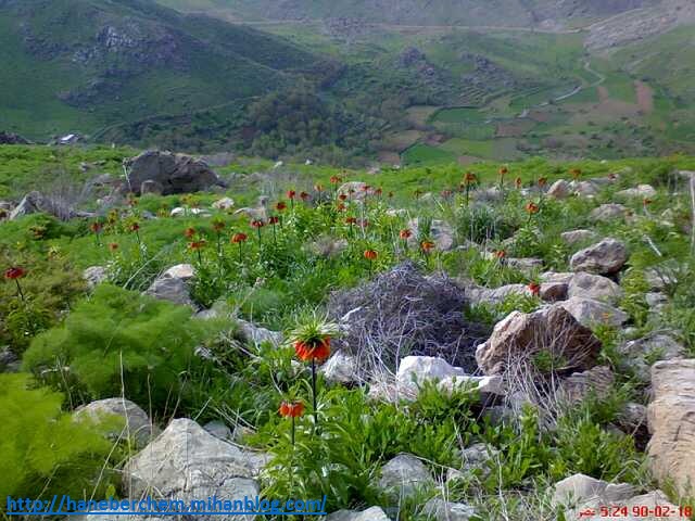 http://haneberchem.mihanblog.com/