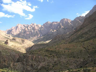 كاسه سه شاخ