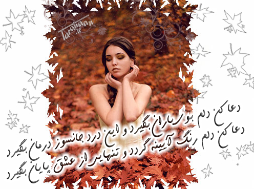 کارت پستال درخواستی طراحان