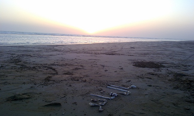 ساحل مال قائد