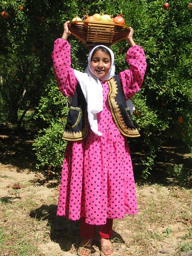 http://s2.picofile.com/file/7164138816/02_www_badroodcity_blogfa_com.jpg