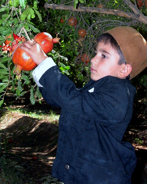 http://s2.picofile.com/file/7164138923/03_www_badroodcity_blogfa_com.jpg