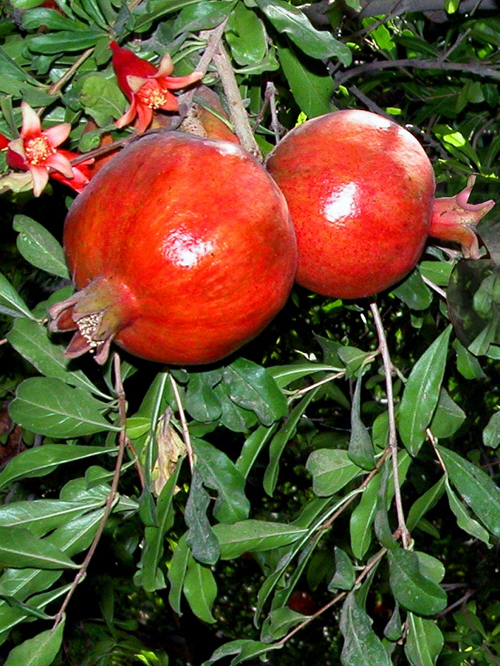http://s2.picofile.com/file/7164139244/04_www_badroodcity_blogfa_com.jpg