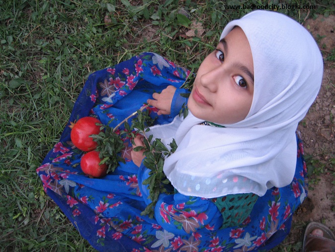 http://s2.picofile.com/file/7164143117/22_www_badroodcity_blogfa_com.jpg