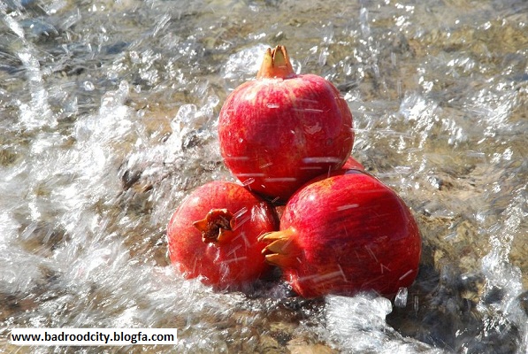 http://s2.picofile.com/file/7164146020/32_www_badroodcity_blogfa_com.jpg