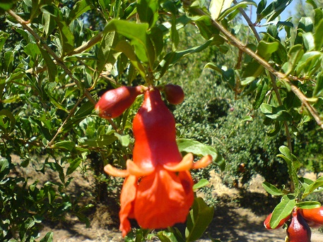http://s2.picofile.com/file/7164146234/33_www_badroodcity_blogfa_com.jpg