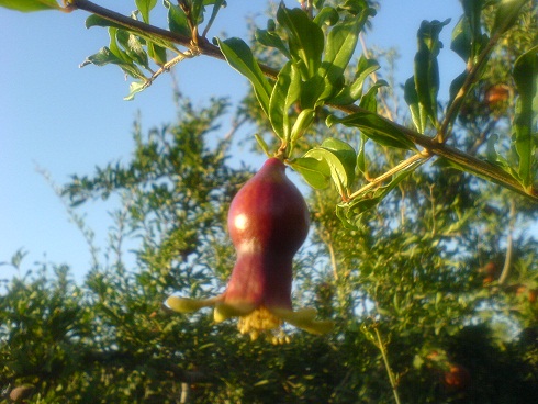 http://s2.picofile.com/file/7164146555/34_www_badroodcity_blogfa_com.jpg