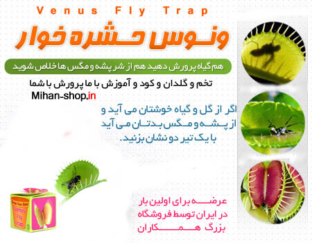 خرید ونوس مگس خوار