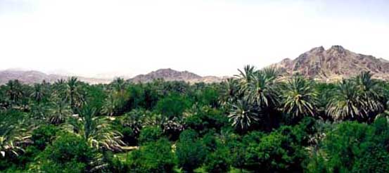 مناظر زیبای شهر ناهوک