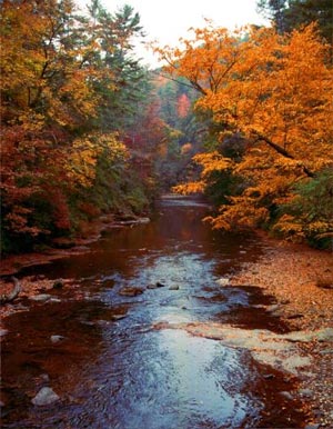 http://s2.picofile.com/file/7172950749/6d42aeccb7d82d4a92b533bb309e1fa7.jpg