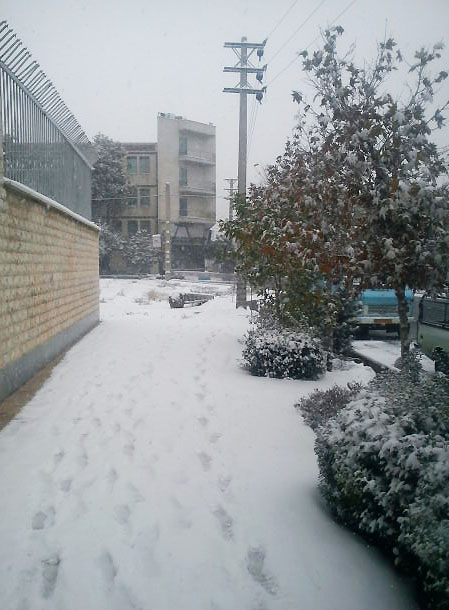 [تصویر: snow.jpg]