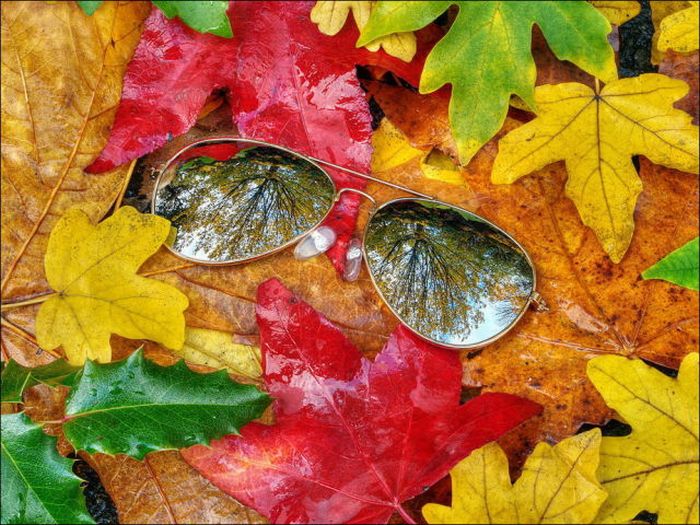 http://www.uniqelove.blogfa.com/عکس های عاشقانه پاییزی، عکس های آخرین روز های پاییزی، عکس های رمانتیک پاییزی, عکس های برگ ریزان پاییز, برگ درختان پاییزی, جدیدترین عکسهای پاییزی, والپیپرهای زیبای عاشقانه پاييزhttp://www.uniqelove.blogfa.com/