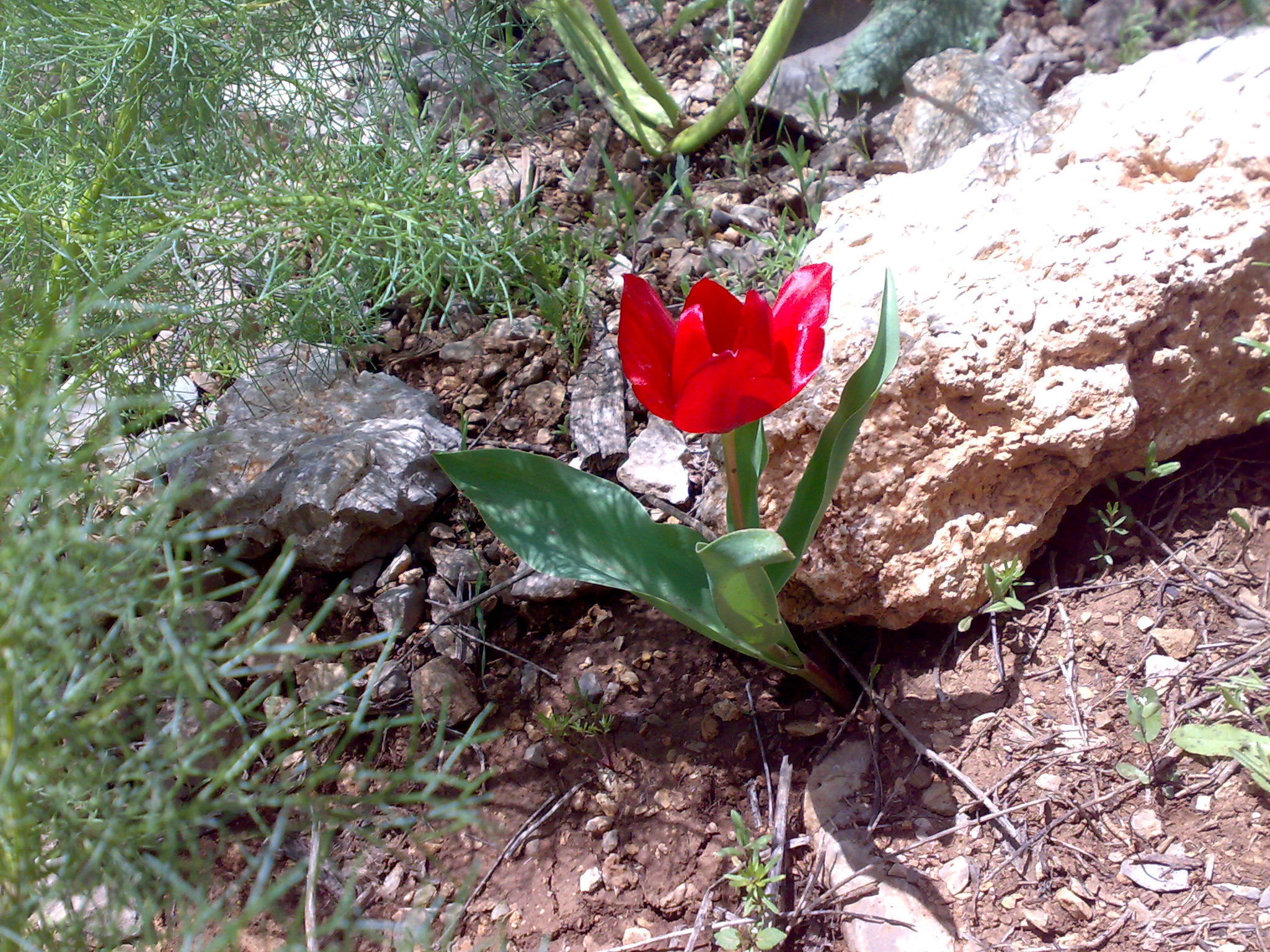 http://haneberchem.mihanblog.com/