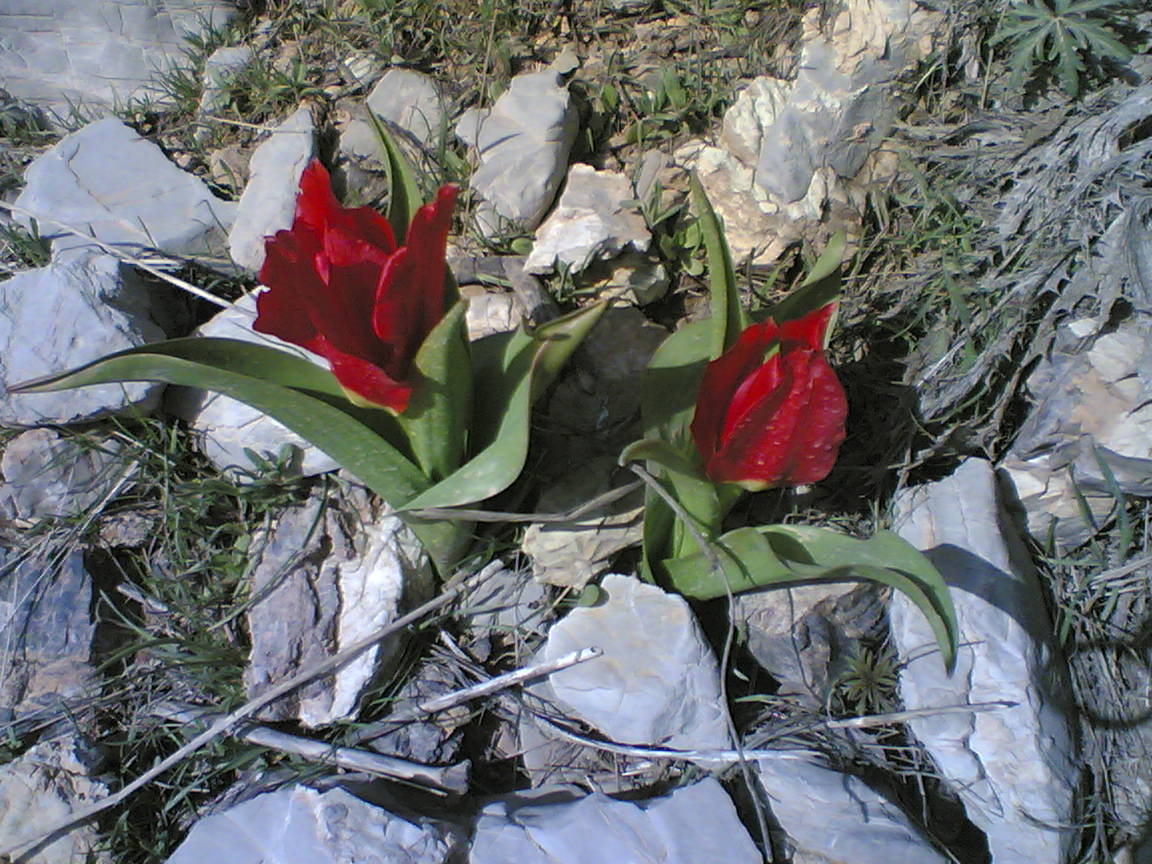 http://haneberchem.mihanblog.com/
