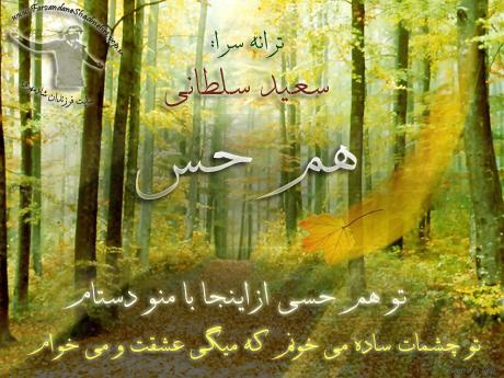 تصویر هم حس