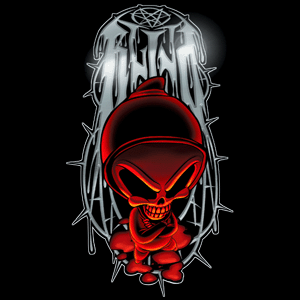 hacker www.amirnadan.com