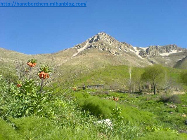 هورامان هانه به رچه م