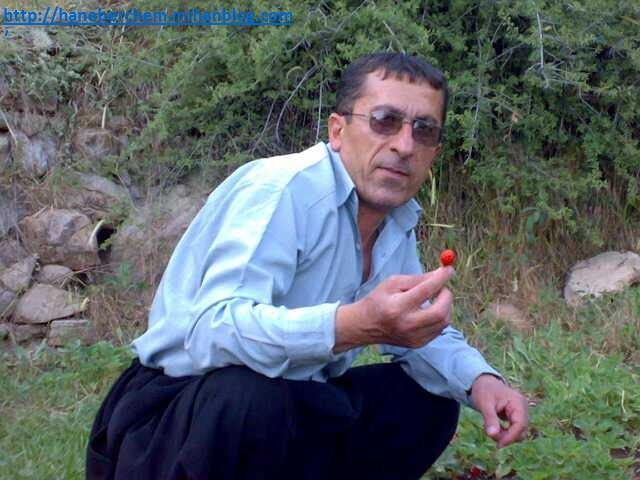 هورامان هانه به رچه م
