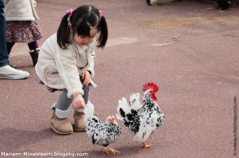 باغ وحش مخصوص کودکان در ژاپن
