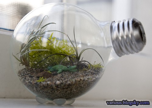 بازیافت لامپ برقهای سوخته و تبدیل آنها به وسایل زیبا و دکوری