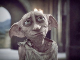 cute_dobby