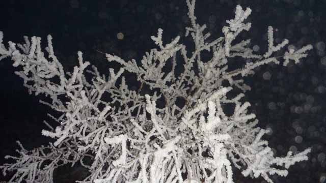 صبح ساعت 30/6 پای کوه کیامکی