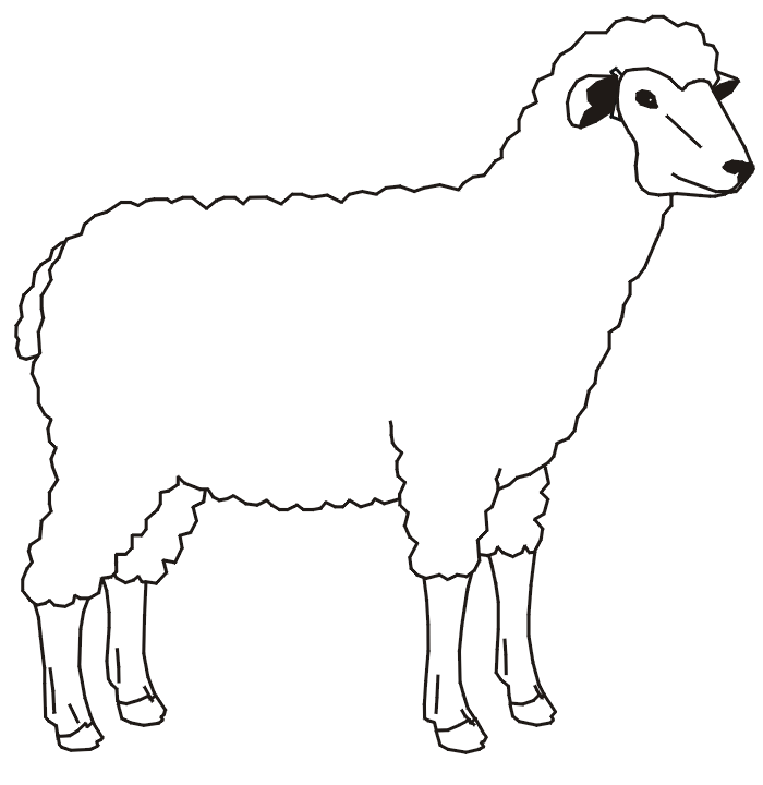 گوسفند